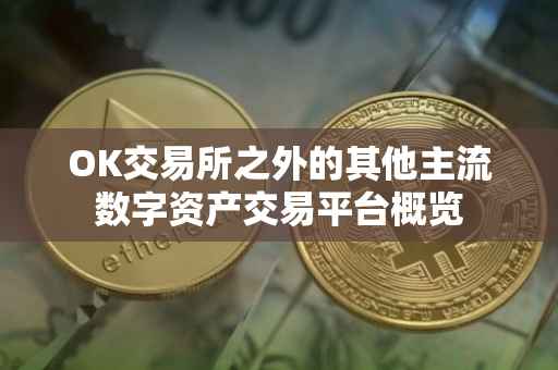 OK交易所之外的其他主流数字资产交易平台概览