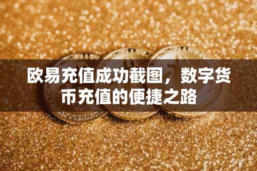 欧易充值成功截图，数字货币充值的便捷之路