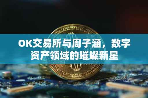 OK交易所与周子涵，数字资产领域的璀璨新星