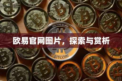 欧易官网图片，探索与赏析