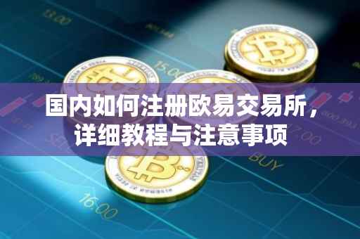 国内如何注册欧易交易所，详细教程与注意事项