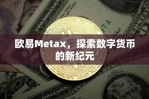 欧易Metax，探索数字货币的新纪元
