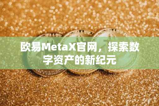 欧易MetaX官网，探索数字资产的新纪元