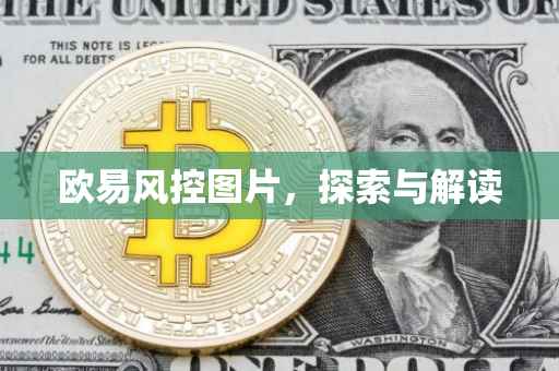 欧易风控图片，探索与解读