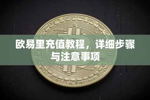 欧易里充值教程，详细步骤与注意事项
