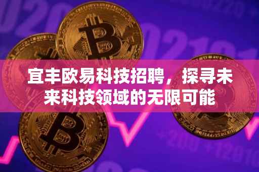 宜丰欧易科技招聘，探寻未来科技领域的无限可能