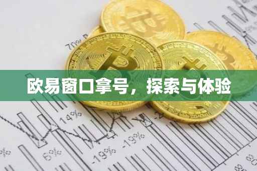 欧易窗口拿号，探索与体验