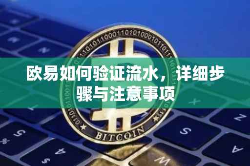 欧易如何验证流水，详细步骤与注意事项