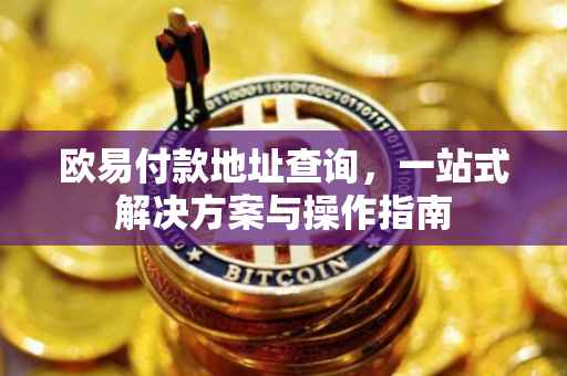 欧易付款地址查询，一站式解决方案与操作指南