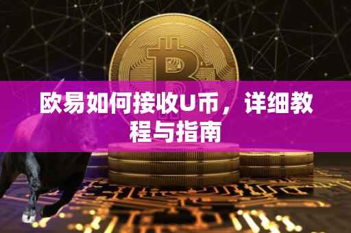 欧易如何接收U币，详细教程与指南