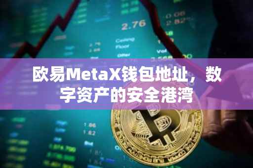 欧易MetaX钱包地址，数字资产的安全港湾