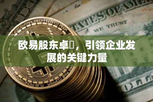 欧易股东卓玥，引领企业发展的关键力量