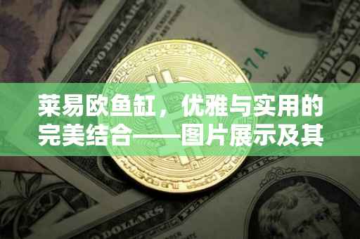 莱易欧鱼缸，优雅与实用的完美结合——图片展示及其设计理念