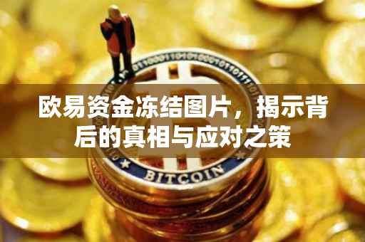欧易资金冻结图片，揭示背后的真相与应对之策