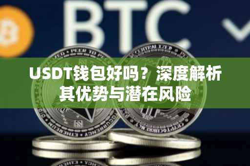USDT钱包好吗？深度解析其优势与潜在风险