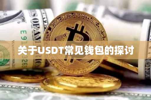 关于USDT常见钱包的探讨