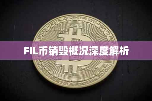 FIL币销毁概况深度解析