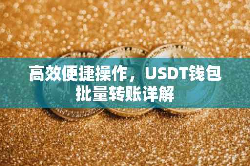 高效便捷操作，USDT钱包批量转账详解