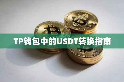 TP钱包中的USDT转换指南