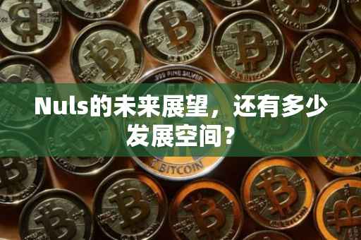 Nuls的未来展望，还有多少发展空间？