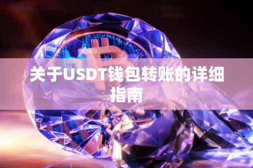 关于USDT钱包转账的详细指南