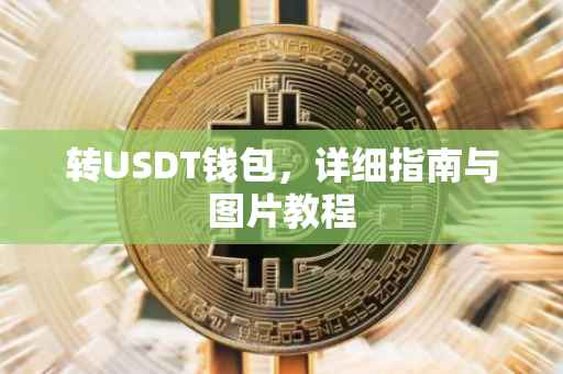 转USDT钱包，详细指南与图片教程