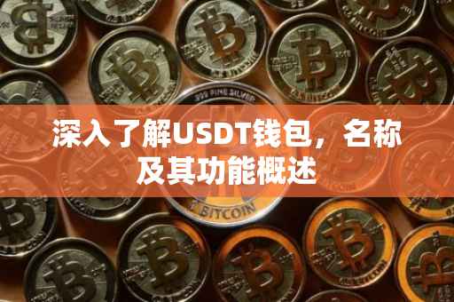 深入了解USDT钱包，名称及其功能概述
