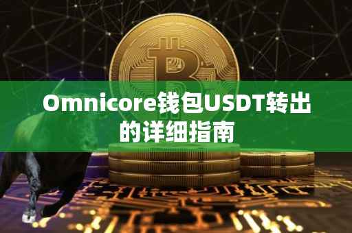 Omnicore钱包USDT转出的详细指南