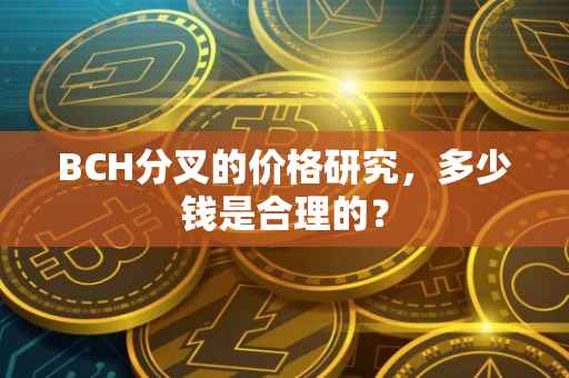 BCH分叉的价格研究，多少钱是合理的？
