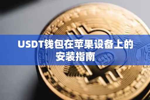 USDT钱包在苹果设备上的安装指南