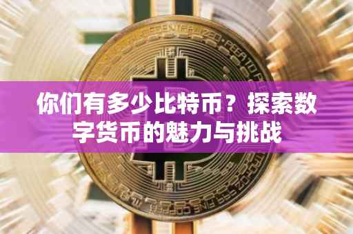 你们有多少比特币？探索数字货币的魅力与挑战