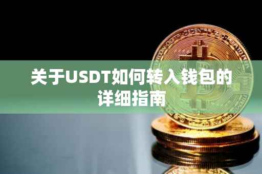 关于USDT如何转入钱包的详细指南