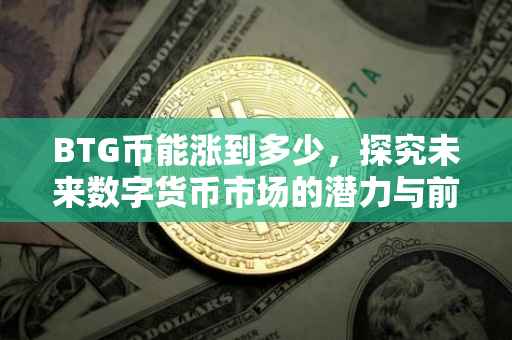 BTG币能涨到多少，探究未来数字货币市场的潜力与前景