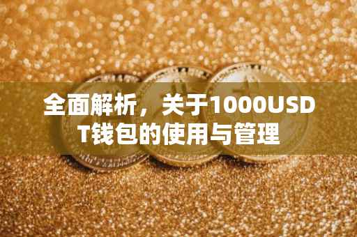 全面解析，关于1000USDT钱包的使用与管理