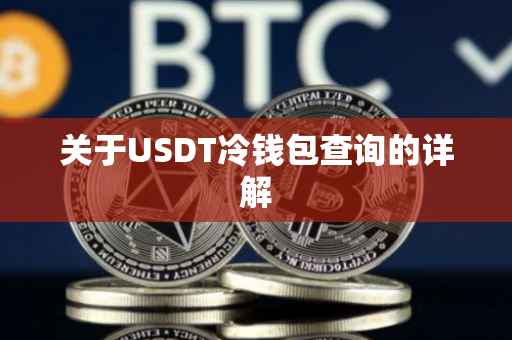 关于USDT冷钱包查询的详解