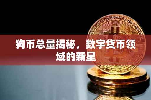 狗币总量揭秘，数字货币领域的新星