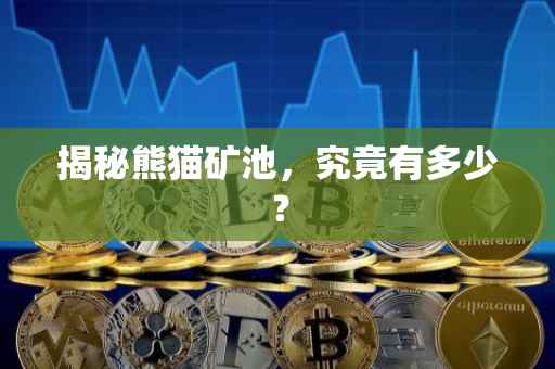 揭秘熊猫矿池，究竟有多少？