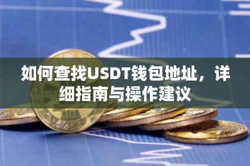 如何查找USDT钱包地址，详细指南与操作建议