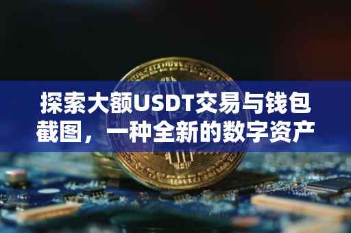 探索大额USDT交易与钱包截图，一种全新的数字资产管理方式