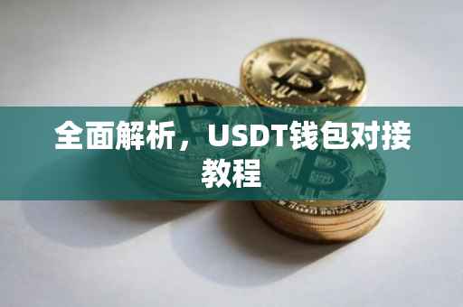 全面解析，USDT钱包对接教程