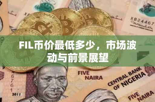 FIL币价最低多少，市场波动与前景展望