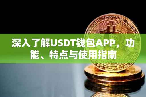 深入了解USDT钱包APP，功能、特点与使用指南