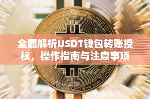 全面解析USDT钱包转账授权，操作指南与注意事项