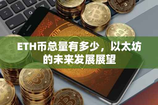 ETH币总量有多少，以太坊的未来发展展望