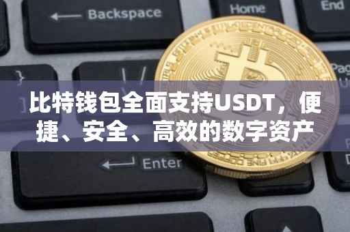 比特钱包全面支持USDT，便捷、安全、高效的数字资产存储与管理体验