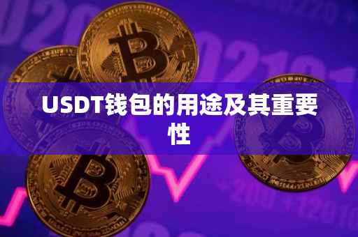 USDT钱包的用途及其重要性