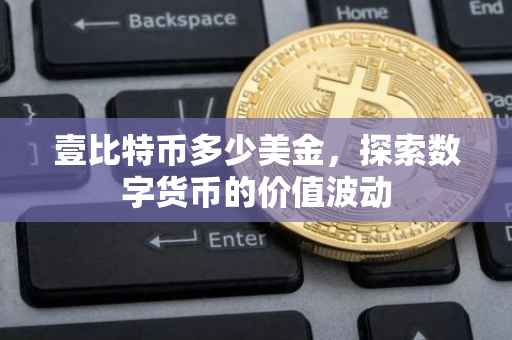 壹比特币多少美金，探索数字货币的价值波动