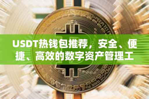 USDT热钱包推荐，安全、便捷、高效的数字资产管理工具