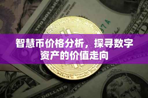 智慧币价格分析，探寻数字资产的价值走向