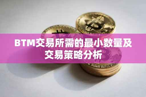 BTM交易所需的最小数量及交易策略分析